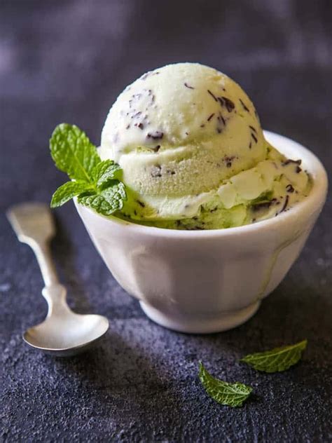 Mint Chocolate Chip Ice Cream - Completely Delicious