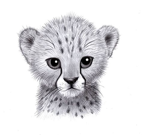 Baby Cheetah by zdrer456 | Cheetah drawing, Animal sketches, Easy ...