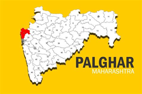 Palghar Election Result Live Updates: BJP's Gavit Rajendra Dhedya Wins