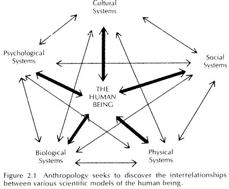 Religion Definition Anthropology - religion