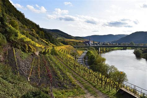 An Insider's Guide to a World-Famous German Wine Region | Wine Enthusiast