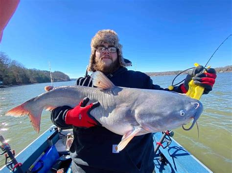 The Best Time Of Day To Catch Catfish... • Panfish Nation