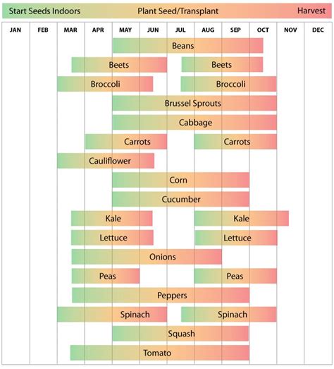 Austin Tx 2024 Vegetable Planting Calendar - Dasya Emogene