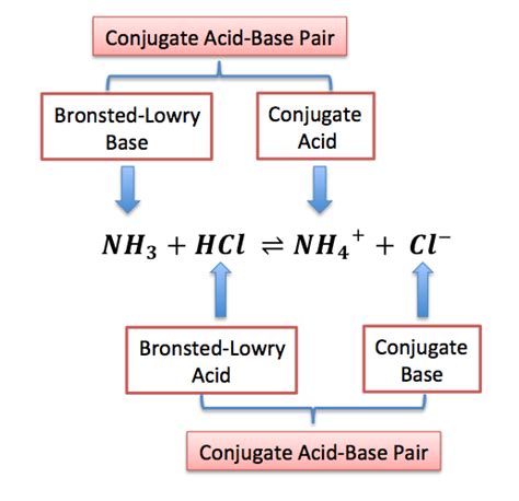 Bronsted-Lowry Acid: Definition & Examples - Video & Lesson Transcript ...