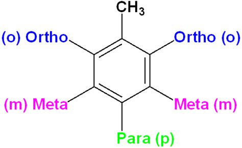 Benzene & Derivatives