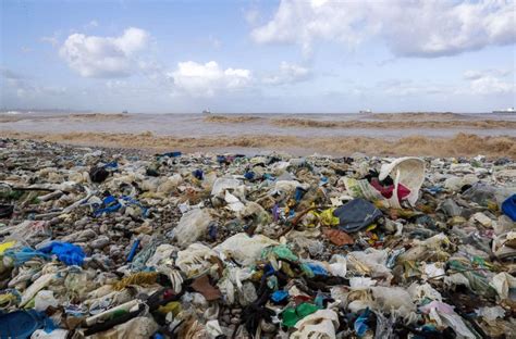 Widespread waste cleanup underway as garbage blankets Beirut beach ...