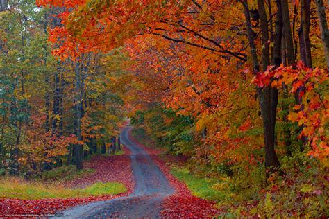 Vermont Autumn Wallpaper - WallpaperSafari