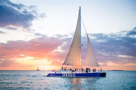 Key West Dolphin Watch Sunset Sail With Premium Wine, And Tapas ...