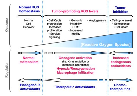 17. The level of ROS in normal vs cancer cells. The tumour inhibition ...