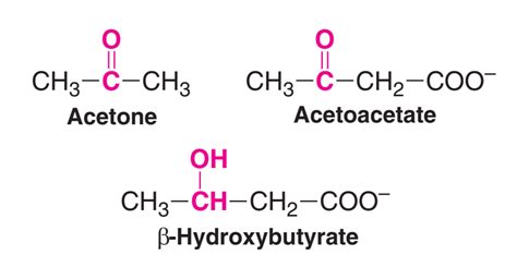 Structures-of-ketone-bodies | Online Biochemistry Notes