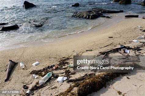 Rubbish And Debris At The Beach High-Res Stock Photo - Getty Images