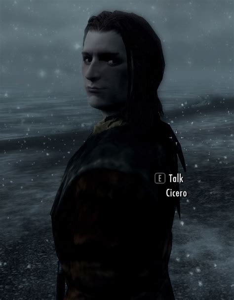 Cicero without hat | Skyrim funny, Cicero, Skyrim