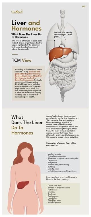 What Does the Liver Do to Hormones