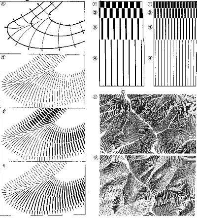 Sample Maps