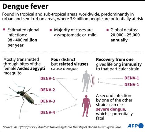 How To Cure Dengue - Tomorrowfall9