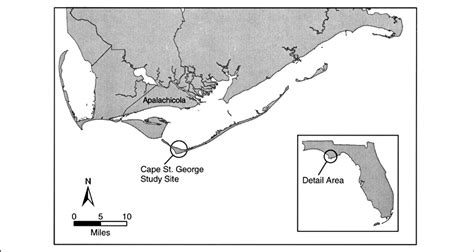 Little St. George Island is a narrow barrier island located two to ...