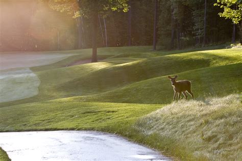 TimberStone Golf Course