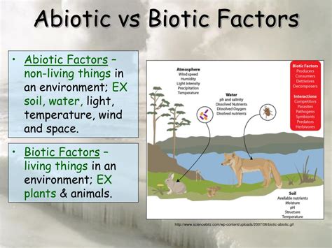 [DIAGRAM] Venn Diagram Of Biotic And Abiotic Factors Wiring Diagram ...