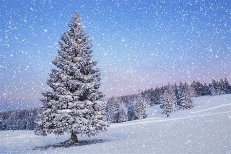 Snowfall Wallpapers HD