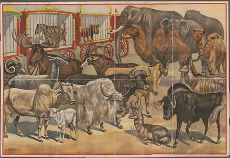 [Circus animals] | Library of Congress