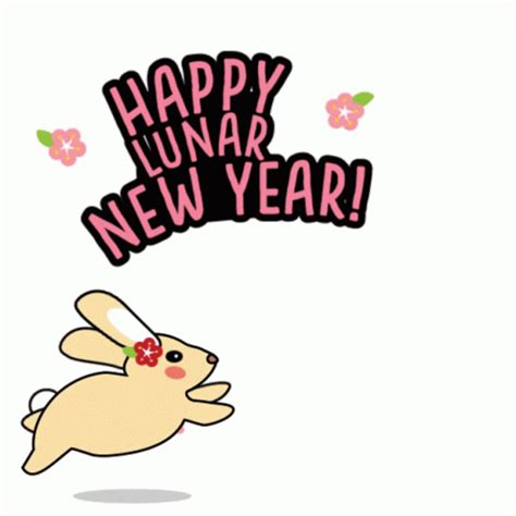 Happy Cny Cny Sticker - Happy Cny Cny Akkg - Discover & Share GIFs