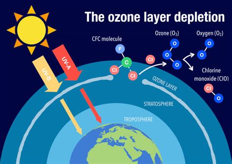 Ozone Layer Diagram