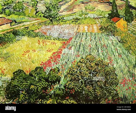 Field with Poppies 1889 painting by Vincent van Gogh - Very high ...