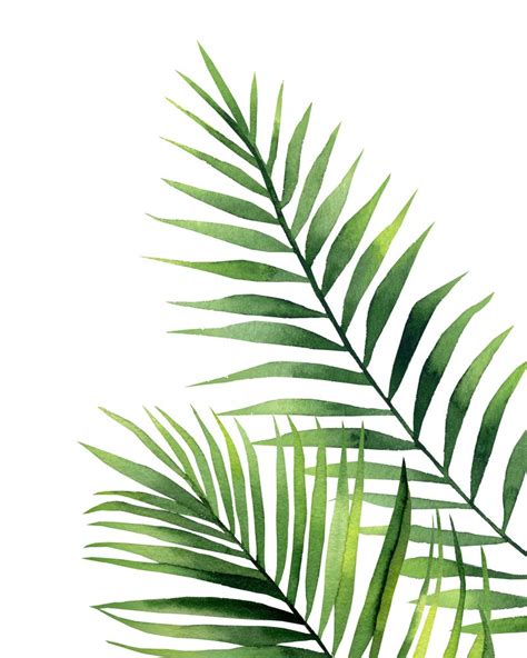 Palm leaves. Mini Art Print by Art by ASolo | Leaves illustration, Palm ...