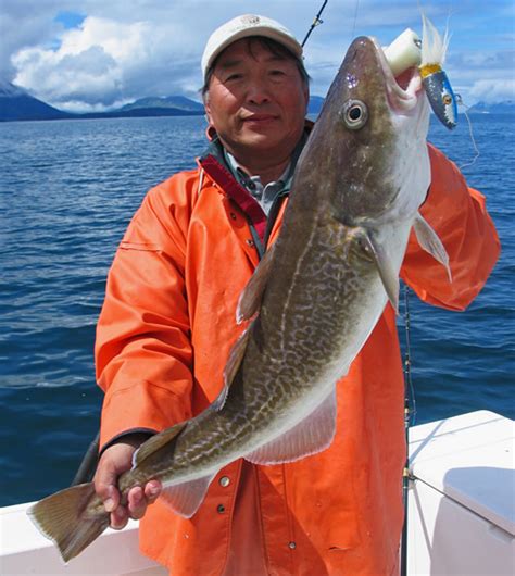 Fish Identification: Pacific Cod (Gadus macrocephalus)