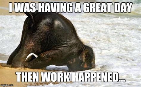 25 Mood-Improving Memes for When You're Having a Bad Day at Work ...