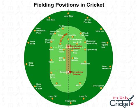 Cricket Fielding Positions Diagram