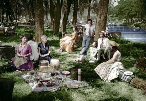 Picnic Movie 1955