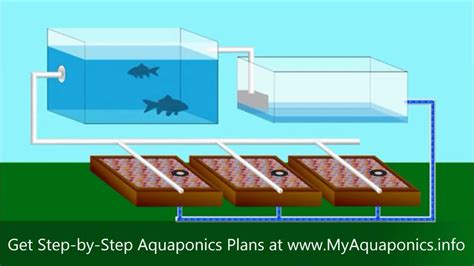 DIY Aquaponics | Do It Yourself Aquaponics Systems | Starter Kit ...