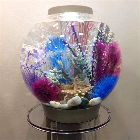 Decorating a fish tank is as important as the fish you put in it ...