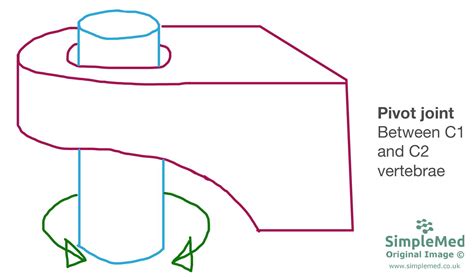 Pivot Joint Neck Diagram