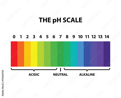 Colored the pH scale rainbow - isolated vector illustration Stock ...