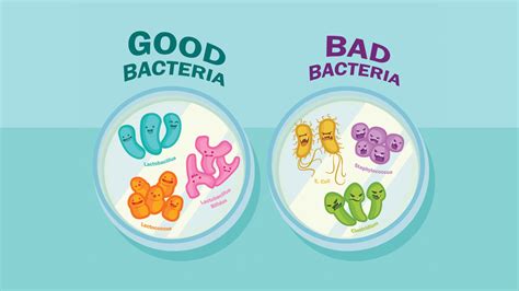 Good vs. Bad Bacteria in Your Mouth - Hinsdale Dental