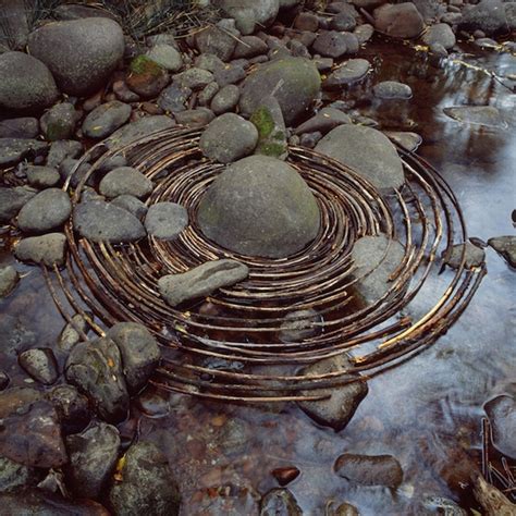 Andy Goldsworthy - rbn