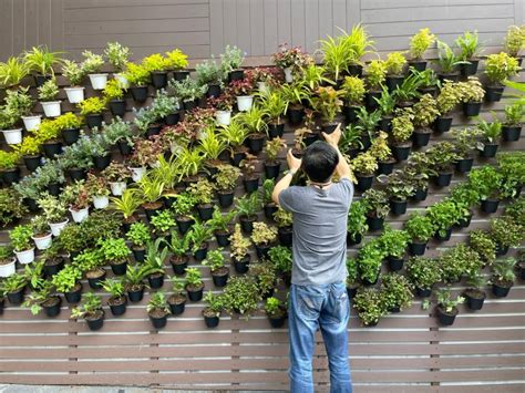 Five reasons to get into vertical gardening - gardenstead