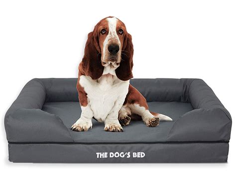 12 Best Orthopedic Dog Beds for Arthritis - Hey, Djangles.