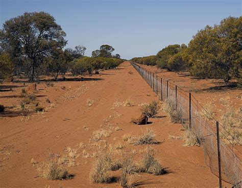 Rabbit Proof Fence | Rabbits in australia, Dog proof fence, Scenery