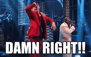 Damn Right - Saturday Night Live GIF - Macklemore Damn Right Right ...