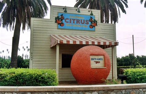 California Orange Stands | Riverside california, California, Citrus park