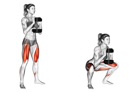 5 Best Goblet Squat Alternatives (with Pictures!) - Inspire US