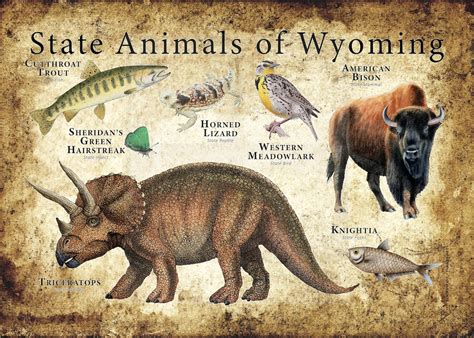 Wyoming State Animals Poster Print | Etsy