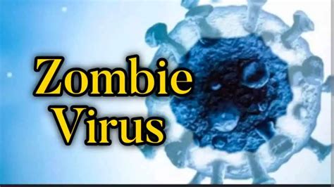 Zombie Virus in India 2022 - Signs, Symptoms and Precaution ...