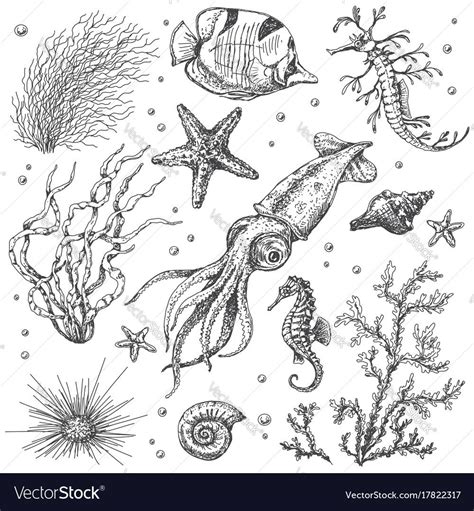 an underwater scene with sea animals and corals in the water hand drawn ...