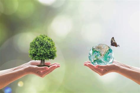 Green world and Tree of life growing in clean environment on volunteer ...