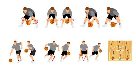 Kräuter Teilweise Hälfte basketball handling drills for beginners ...