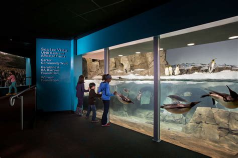 Penguin Exhibit at the Kansas City Zoo - Architizer